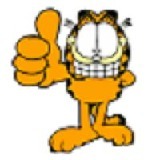thegarfield